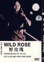 Wild Rose