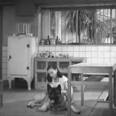 Hibari no Komoriuta (1951) photo