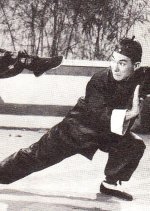 Wong Fei Hung Tries His Shadowless Kick (1954) photo