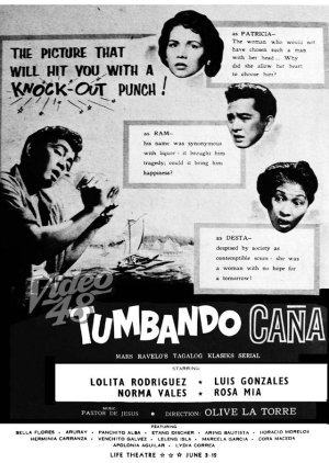 Tumbando Cana 1956