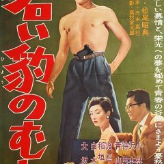 Wakai Hyo no Mure (1959) photo