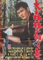 Daishinrin ni Mukatte Tatsu (1961) photo