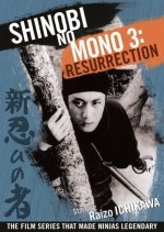 Shinobi No Mono 3: Resurrection (1963) photo