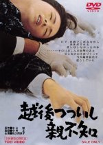 A Story From Echigo (1964) photo