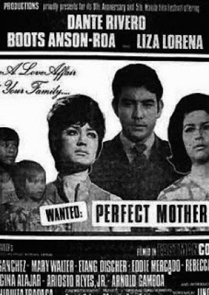Wanted: Perfect Mother
