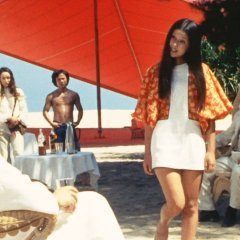 Dear Summer Sister (1972) photo