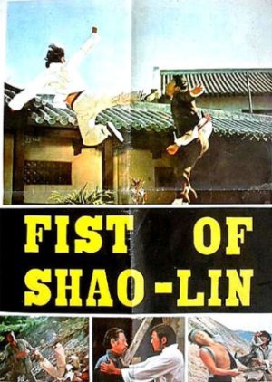 Fist of Shaolin 1974