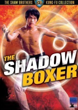 The Shadow Boxer 1974
