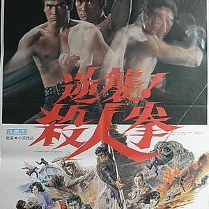 The Street Fighter's Last Revenge (1974)