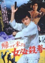 The Return of the Sister Street Fighter (1975) photo