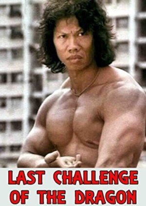 Last Challenge of the Dragon 1976