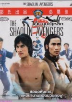 The Shaolin Avengers (1976) photo