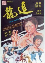 Fists of Dragons (1977) photo