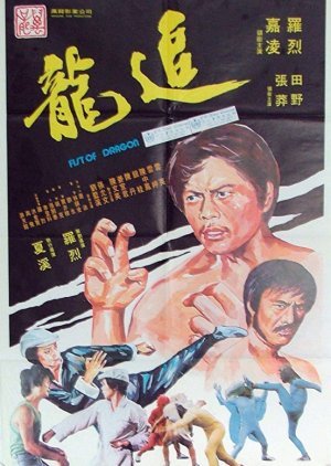Fists of Dragons 1977