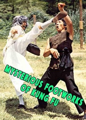 Mysterious Footworks of Kung Fu 1978
