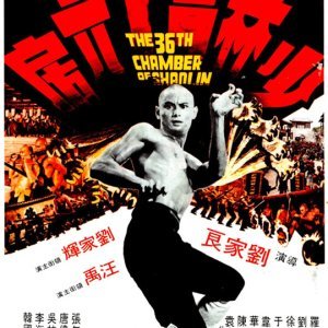 The 36th Chamber of Shaolin (1978)