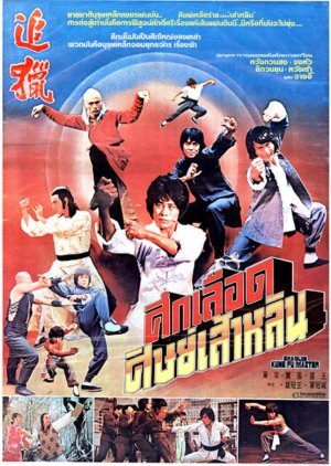 Shaolin Kung Fu Master 1978