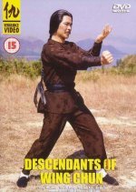 The Descendant of Wing Chun (1978) photo