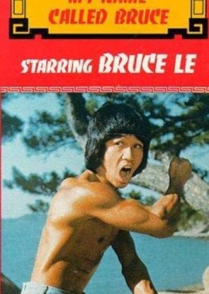 My Name Called Bruce 1978