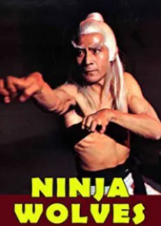 Ninja Wolves 1979
