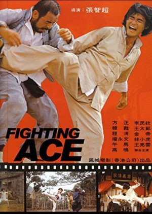 Fighting Ace 1979