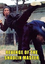 Revenge of the Shaolin Master