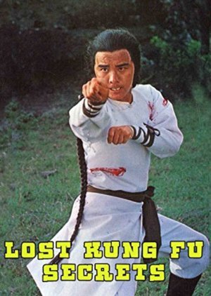 The Lost Kung Fu Secrets 1979