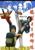 Death Duel of Kung Fu (1979) photo