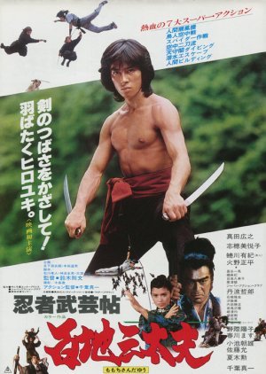 Shogun's Ninja 1980