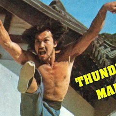 Thundering Mantis (1980) photo