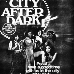 City After Dark (1980) photo
