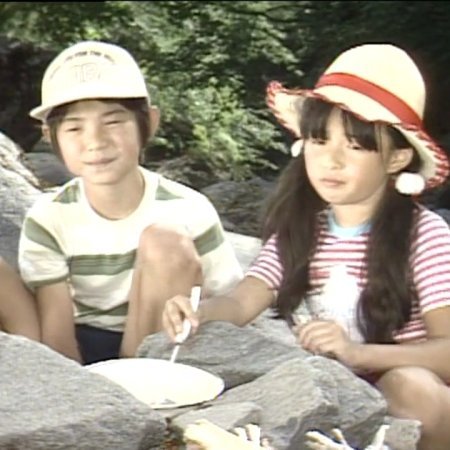 Kita no Kuni Kara (1981)