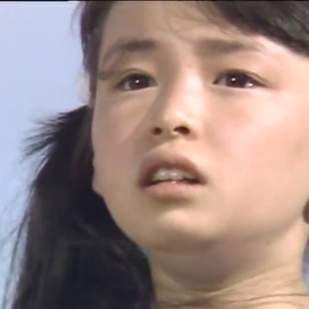 Kita no Kuni Kara (1981)