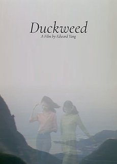 Duckweed 1981