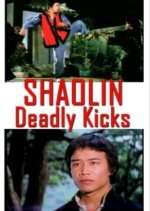 Shaolin Deadly Kicks (1982) photo