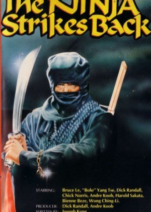 The Ninja Strikes Back 1982