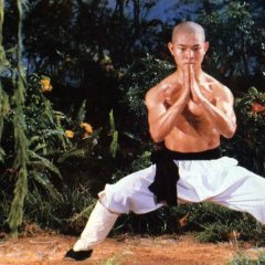 The Shaolin Temple (1982) photo