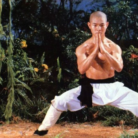 The Shaolin Temple (1982)