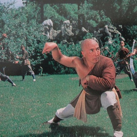 The Shaolin Temple (1982)