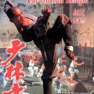 The Shaolin Temple (1982)