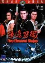 Five Element Ninjas (1982) photo