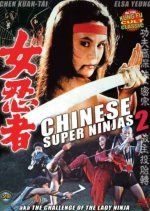 The Challenge of the Lady Ninja (1983) photo
