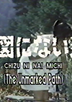The Unmarked Path 1984