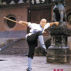 Shaolin Temple 3: Martial Arts of Shaolin (1986) photo
