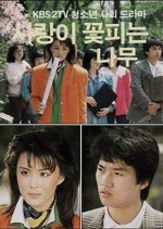 The Tree Blooming with Love (1987) photo
