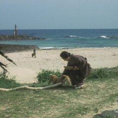 Hachiko Monogatari (1987) photo