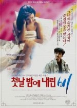 The Rain On The First Night (1991) photo