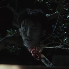 Hiruko the Goblin (1991) photo