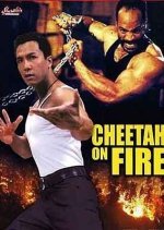 Cheetah on Fire