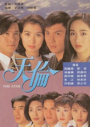 The Link 1993